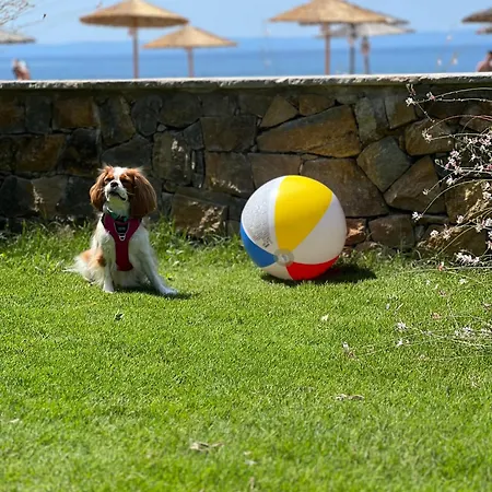 Royalty Seaside Νικήτη