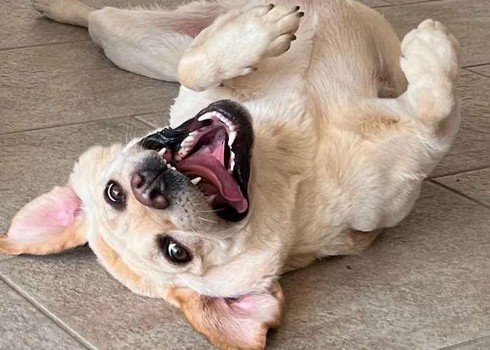 Hotel Royalty Seaside 3*