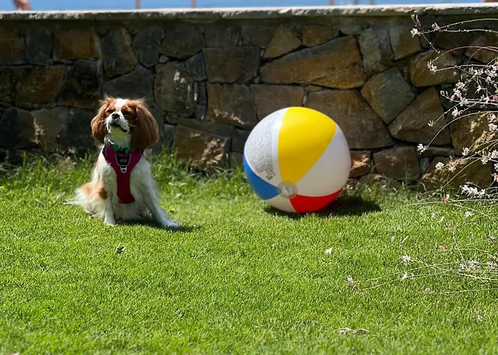 Royalty Seaside Nikiti (Sithonia)